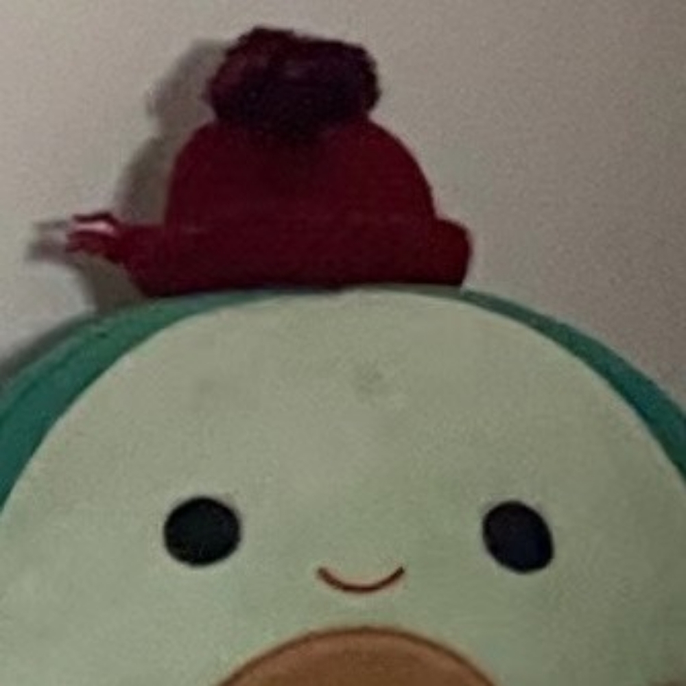 Meet your Posher, Emily